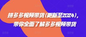 拼多多视频带货(更新至2024),带你全面了解多多视频带货-阳知网创资源库