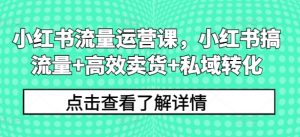 小红书流量运营课,小红书搞流量+高效卖货+私域转化-阳知网创资源库