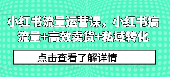 小红书流量运营课,小红书搞流量+高效卖货+私域转化-阳知网创资源库