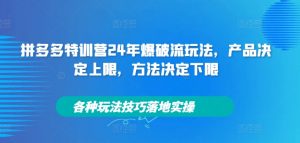 拼多多特训营24年爆破流玩法，产品决定上限，方法决定下限，各种玩法技巧落地实操-阳知网创资源库