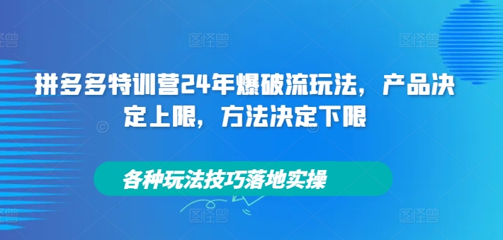 拼多多特训营24年爆破流玩法，产品决定上限，方法决定下限，各种玩法技巧落地实操-阳知网创资源库