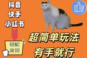 超简单玩法,有手就行,靠猫咪视频日入500+【揭秘】-阳知网创资源库