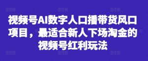 视频号AI数字人口播带货风口项目,最适合新人下场淘金的视频号红利玩法-阳知网创资源库