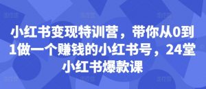 小红书变现特训营,带你从0到1做一个赚钱的小红书号,24堂小红书爆款课-阳知网创资源库