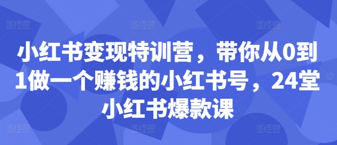 小红书变现特训营，带你从0到1做一个赚钱的小红书号，24堂小红书爆款课-阳知网创资源库