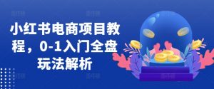 小红书电商项目教程,0-1入门全盘玩法解析-阳知网创资源库