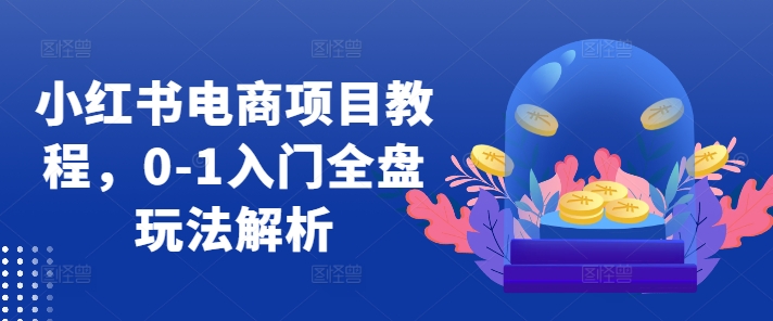 小红书电商项目教程,0-1入门全盘玩法解析-阳知网创资源库