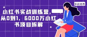 小红书实战训练营,从0到1,6000万小红书项目拆解-阳知网创资源库