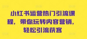 小红书运营热门引流课程,带你玩转内容营销,轻松引流获客-阳知网创资源库