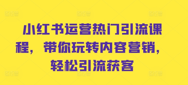 小红书运营热门引流课程,带你玩转内容营销,轻松引流获客-阳知网创资源库