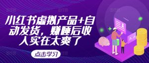 小红书虚拟产品+自动发货,赚睡后收入实在太爽了-阳知网创资源库