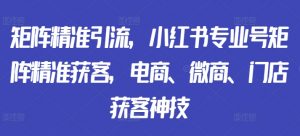 矩阵精准引流，小红书专业号矩阵精准获客，电商、微商、门店获客神技-阳知网创资源库