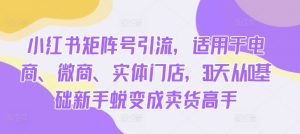 小红书矩阵号引流,适用于电商、微商、实体门店,30天从0基础新手蜕变成卖货高手-阳知网创资源库