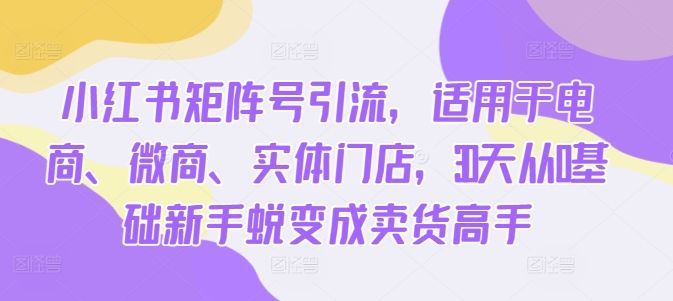 小红书矩阵号引流,适用于电商、微商、实体门店,30天从0基础新手蜕变成卖货高手-阳知网创资源库