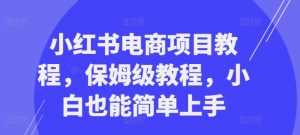 小红书电商项目教程,保姆级教程,小白也能简单上手-阳知网创资源库