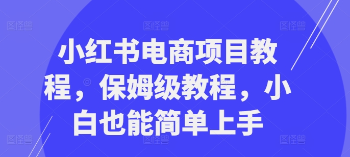 小红书电商项目教程,保姆级教程,小白也能简单上手-阳知网创资源库