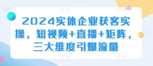 2024实体企业获客实操，短视频+直播+矩阵，三大维度引爆流量-阳知网创资源库