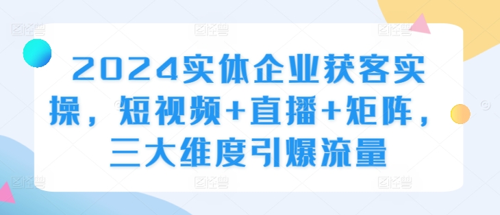 2024实体企业获客实操,短视频+直播+矩阵,三大维度引爆流量-阳知网创资源库