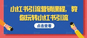 小红书引流营销课程,教你玩转小红书引流-阳知网创资源库