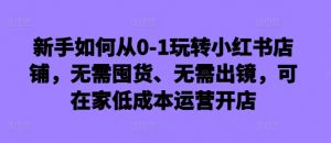 新手如何从0-1玩转小红书店铺,无需囤货、无需出镜,可在家低成本运营开店-阳知网创资源库