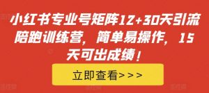 小红书专业号矩阵12+30天引流陪跑训练营,简单易操作,15天可出成绩!-阳知网创资源库