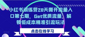 小红书训练营28天撕开流量入口第七期,Get优质流量,解锁低成本精准引流玩法-阳知网创资源库