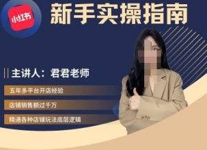 君君-小红书电商从入门到精通,新手实操指南-阳知网创资源库