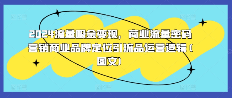 2024流量吸金变现,商业流量密码营销商业品牌定位引流品运营逻辑(图文)-阳知网创资源库