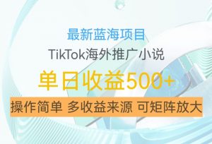 最新蓝海项目,利用tiktok海外推广小说赚钱佣金,简单易学,日入500+,可矩阵放大【揭秘】-阳知网创资源库