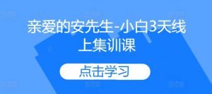 亲爱的安先生-小白3天线上集训课-阳知网创资源库