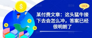 某付费文章:这头猛牛接下去会怎么冲,答案已经很明朗了 !-阳知网创资源库