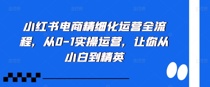 小红书电商精细化运营全流程,从0-1实操运营,让你从小白到精英-阳知网创资源库
