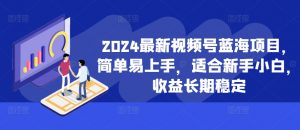 2024最新视频号蓝海项目,简单易上手,适合新手小白,收益长期稳定-阳知网创资源库