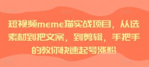 短视频meme猫实战项目,从选素材到把文案,到剪辑,手把手的教你快速起号涨粉-阳知网创资源库