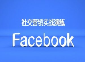 Facebook社交营销实战演练,外贸人绝对不能错过的营销推广平台-阳知网创资源库