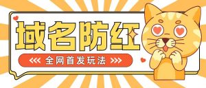 0基础搭建域名防红告别被封风险,学会可对外接单,一单收200+【揭秘】-阳知网创资源库