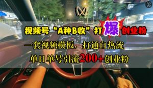 视频号“A种B收”打爆创业粉,一套视频模板打通自热流,单日单号引流200+创业粉-阳知网创资源库