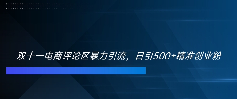 双十一电商评论区暴力引流,日引500+精准创业粉【揭秘】-阳知网创资源库