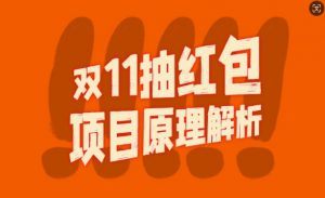 双11抽红包视频裂变项目【完整制作攻略】_长期的暴利打法-阳知网创资源库