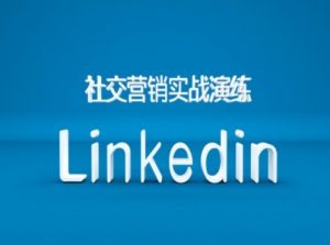 社交营销实战演练之Linkedin营销课程,B2B跨境外贸的新出路-阳知网创资源库