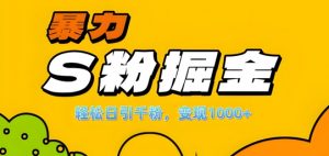 单人单机日引千粉,变现1k+,S粉流量掘金计划攻略【揭秘】-阳知网创资源库