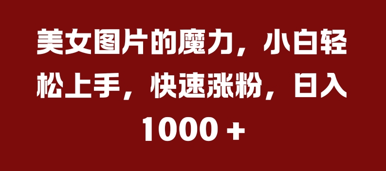 美女图片的魔力,小白轻松上手,快速涨粉,日入几张【揭秘】-阳知网创资源库