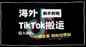 2024最新海外TikTok搬运玩法,一键去重轻松过原创,新手无经验也能日入1k【揭秘】-阳知网创资源库