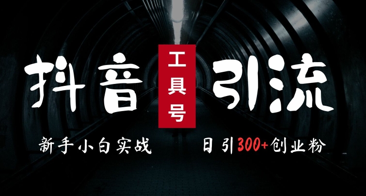 2024最新抖音工具号引流玩法，高效日引300+创业粉，当天变现5k，小白也可成为实战高手-阳知网创资源库