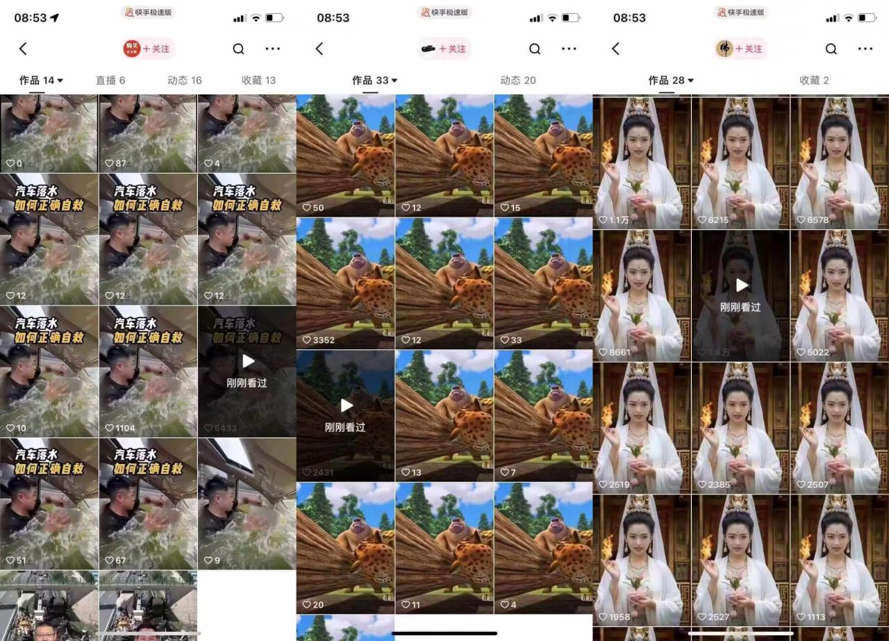 狗熊岭快手连怼技术,好物,涨粉都可以连怼-阳知网创资源库