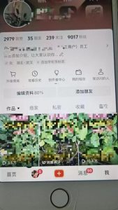 最新抖音暴力起万粉技术，一天涨万粉，发三四个作品涨近万粉-阳知网创资源库