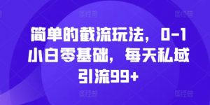 简单的截流玩法，0-1小白零基础，每天私域引流99+【揭秘】-阳知网创资源库