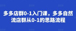 多多店群0-1入门课,多多自然流店群从0-1的思路流程-阳知网创资源库