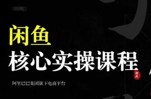 2024闲鱼核心实操课程,从养号、选品、发布、销售,教你做一个出单的闲鱼号-阳知网创资源库