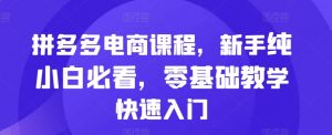 拼多多电商课程,新手纯小白必看,零基础教学快速入门-阳知网创资源库